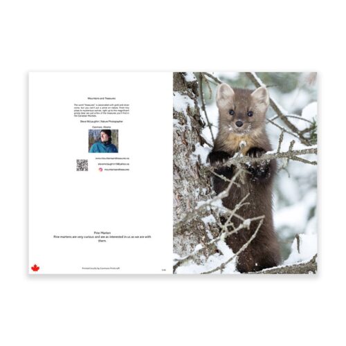 wholesale greeting cards Canada, rockies card, greeting cards canada, canadian christmas cards, greeting from canada, Canada greeting cards, mountain greeting cards, Calgary wildlife photographer, Canadian nature photographers, nature photographs for sale