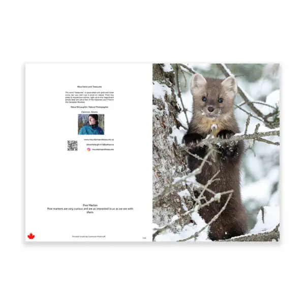 wholesale greeting cards Canada, rockies card, greeting cards canada, canadian christmas cards, greeting from canada, Canada greeting cards, mountain greeting cards, Calgary wildlife photographer, Canadian nature photographers, nature photographs for sale