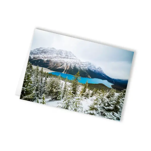 Peyto Lake card. A moody photograph in the winter time with a turquoise blue lake and trees dusted with snow on a cloudy day. mountain greeting cards, winter greeting cards, blank greeting card with envelope, 5x7 greeting card, note cards,