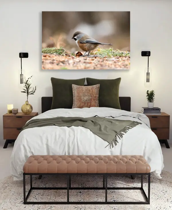 chickadee print, fine art nature photography