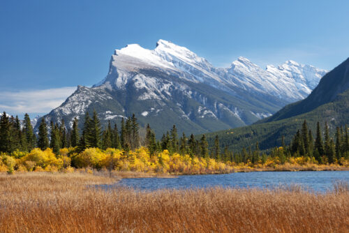 Majestic Mount Rundle Print