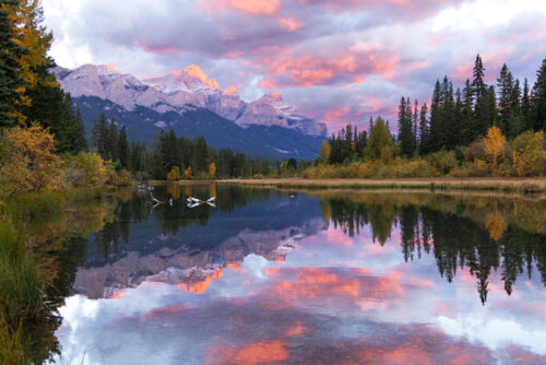 Policeman's Creek, Alpine Glow Print