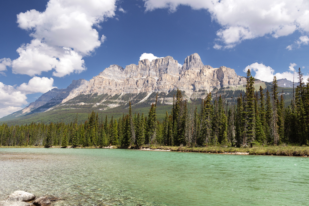 Castle Mountain #9806