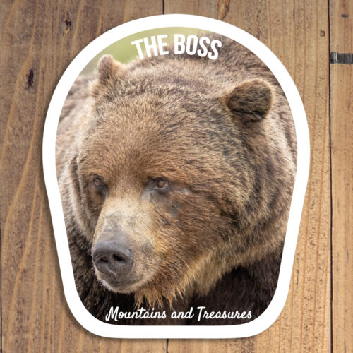 The Boss Sticker