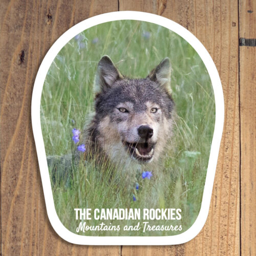 Wolf in Flowers Sticker