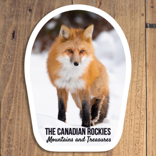 Fox in Snow Sticker