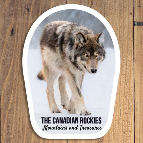 Stalking Wolf Sticker