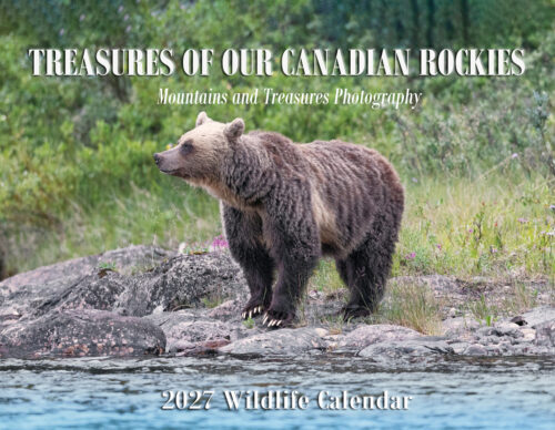 2027 Wildlife Photography Calendar